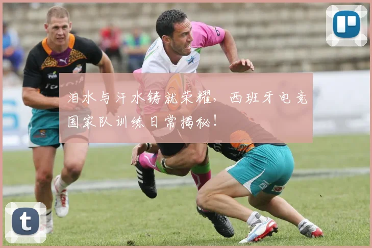 泪水与汗水铸就荣耀,西班牙电竞国家队训练日常揭秘!
