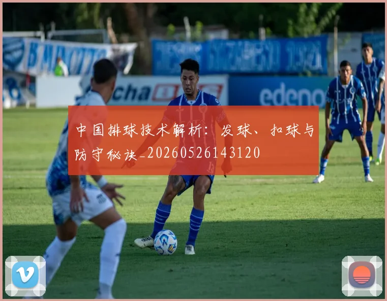 中国排球技术解析：发球、扣球与防守秘诀_20260526143120