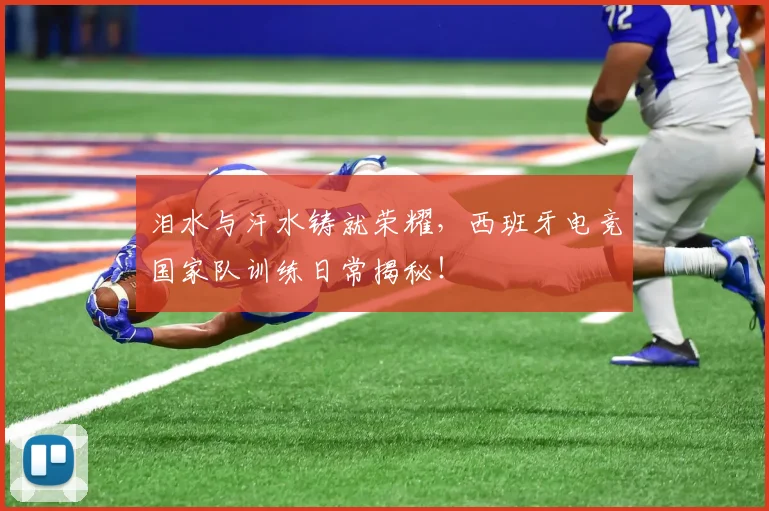 泪水与汗水铸就荣耀,西班牙电竞国家队训练日常揭秘!